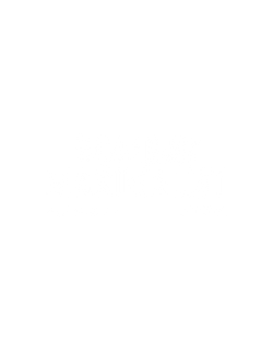 bombaymaximalist
