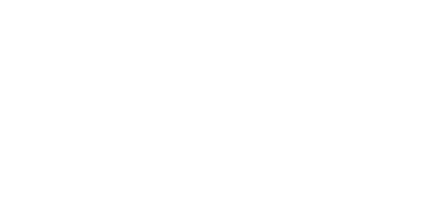 bombaymaximalist